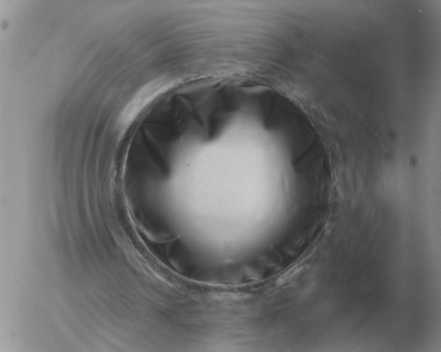 X0000055520242200509022131