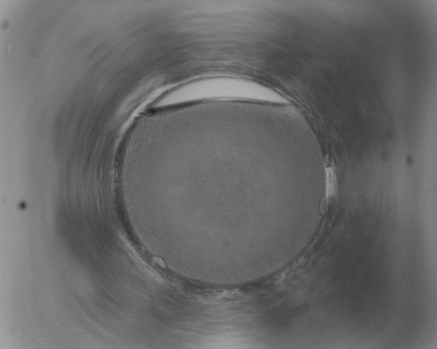 X0000055520243200509022131