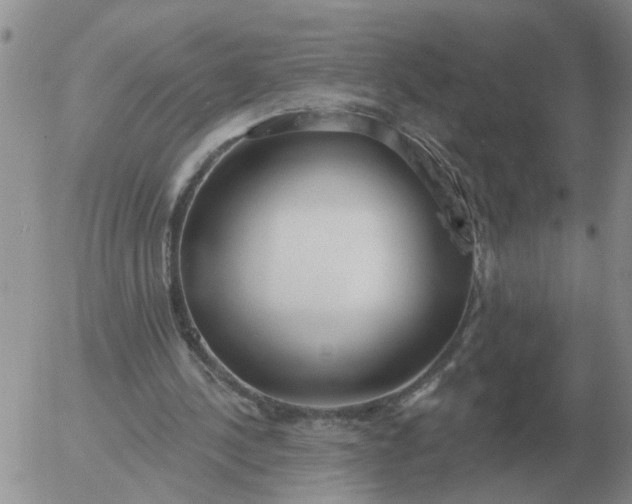 X0000055520244200509022131