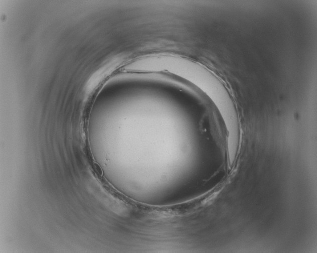 X0000055520245200509022131