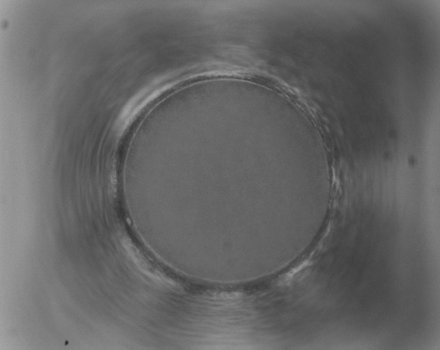 X0000055520247200509022131