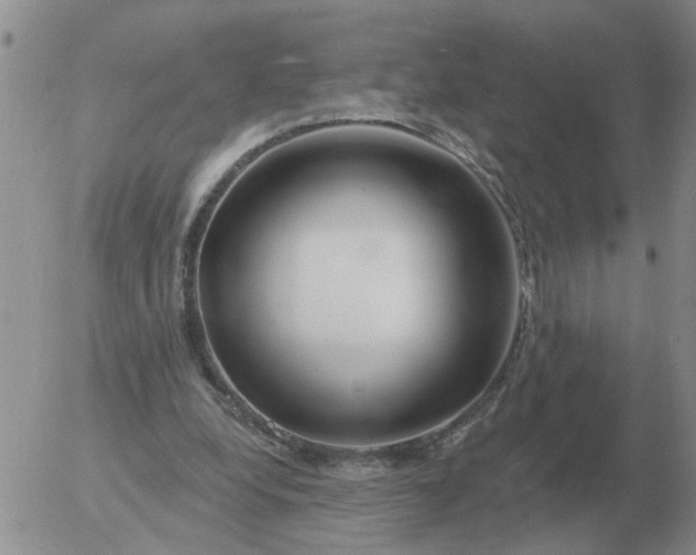 X0000055520248200509022131