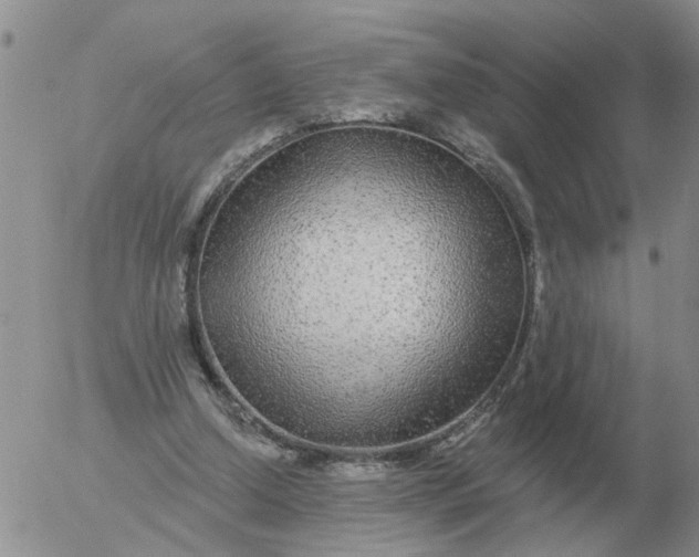 X0000055520250200509022131