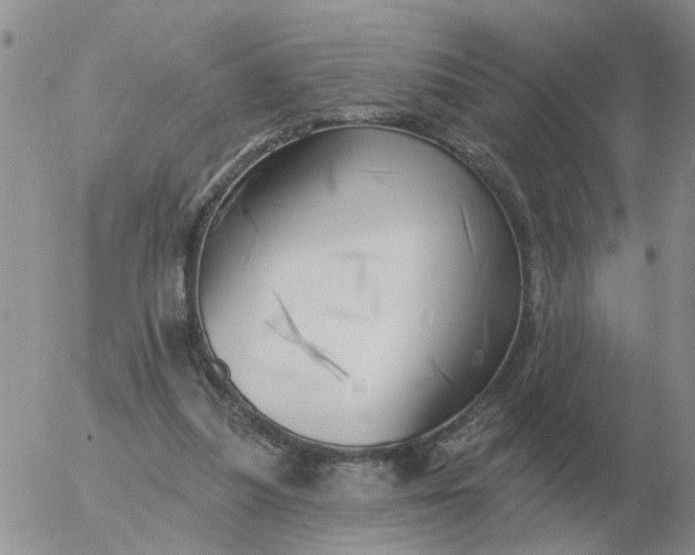 X0000055520251200509022131