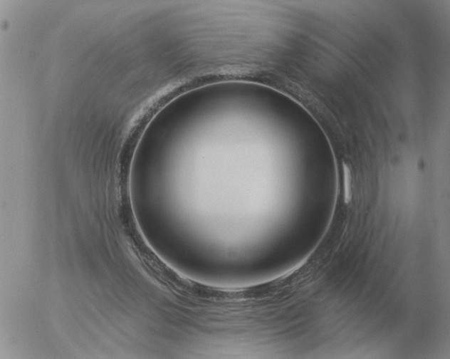 X0000055520252200509022131