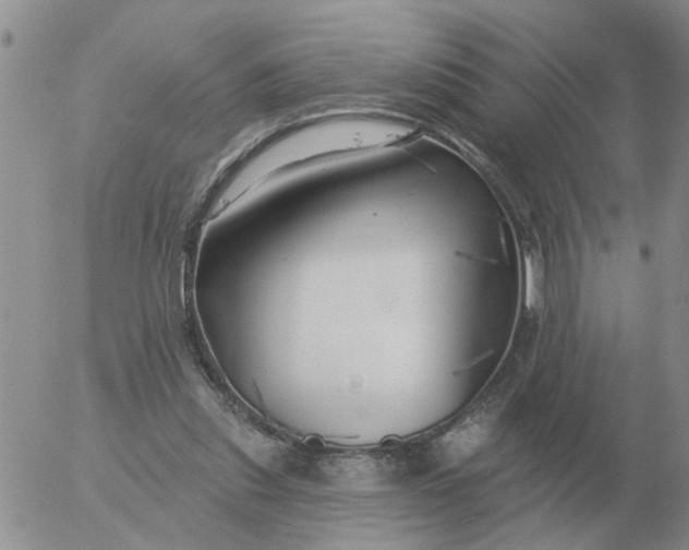 X0000055520253200509022131