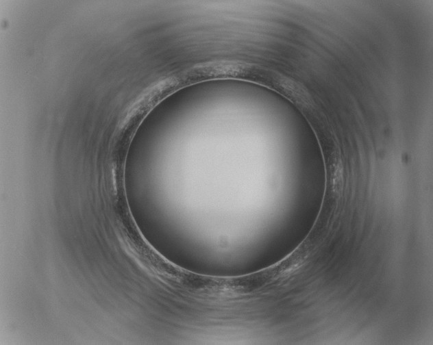 X0000055520254200509022131