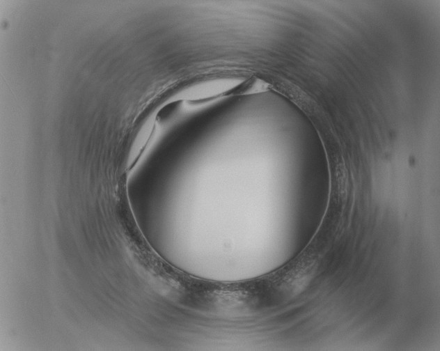 X0000055520255200509022131