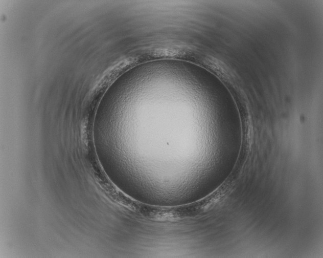 X0000055520258200509022131