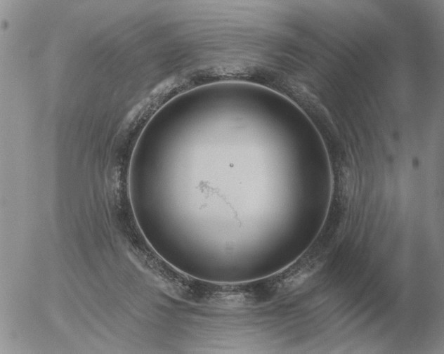 X0000055520260200509022131