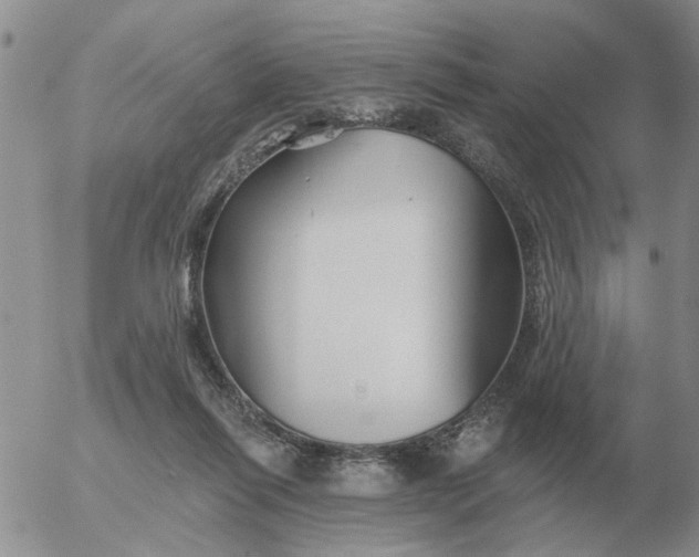 X0000055520262200509022131