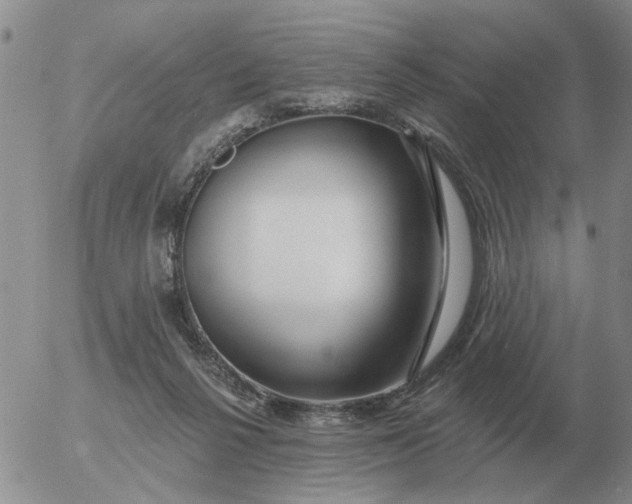 X0000055520264200509022131