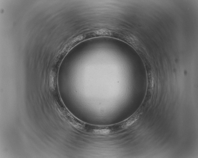 X0000055520266200509022131