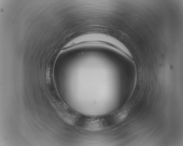 X0000055520267200509022131