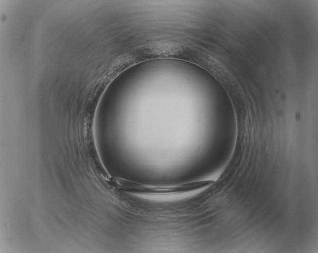 X0000055520268200509022131