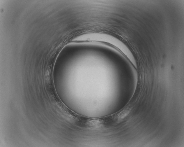 X0000055520269200509022131