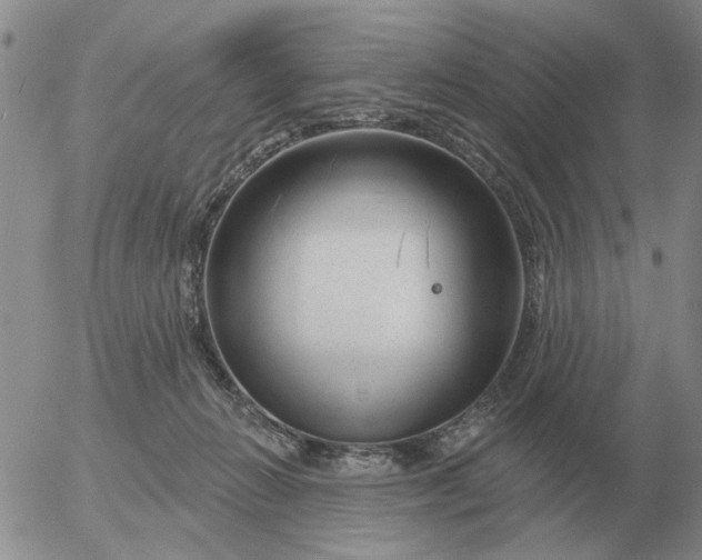 X0000055520270200509022131