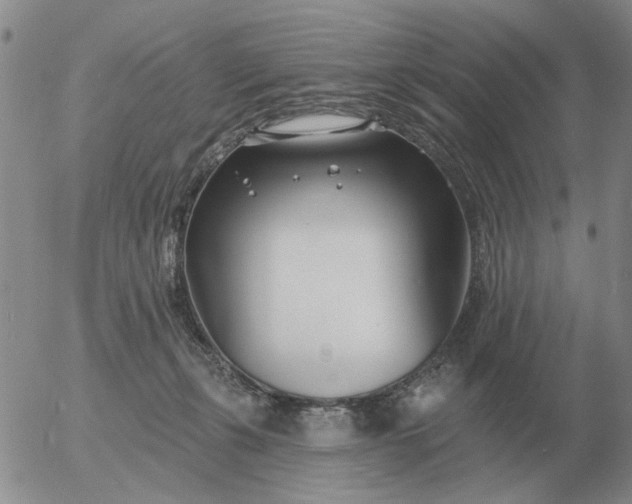 X0000055520271200509022131