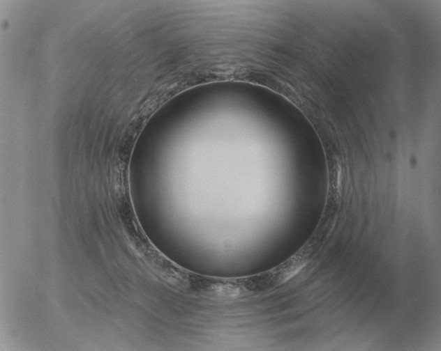 X0000055520272200509022131