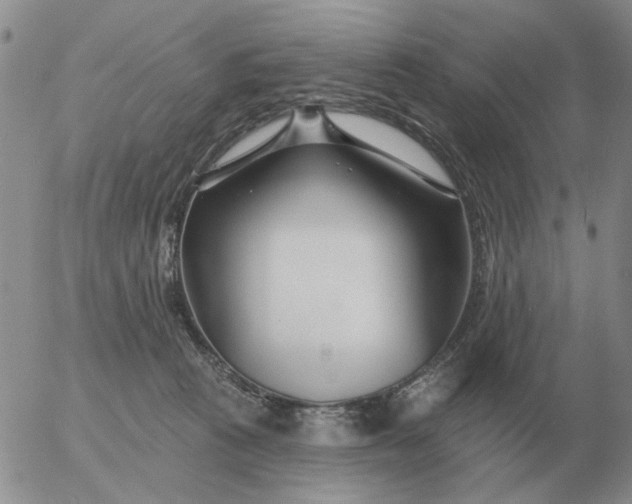 X0000055520273200509022131