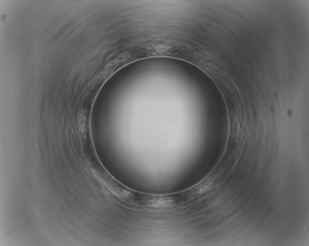 X0000055520274200509022131