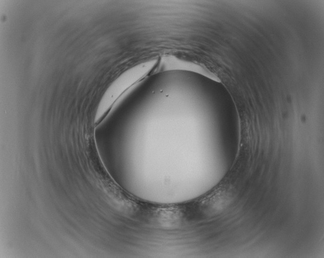 X0000055520275200509022131