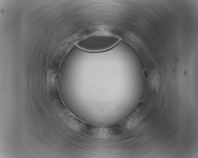 X0000055520276200509022131