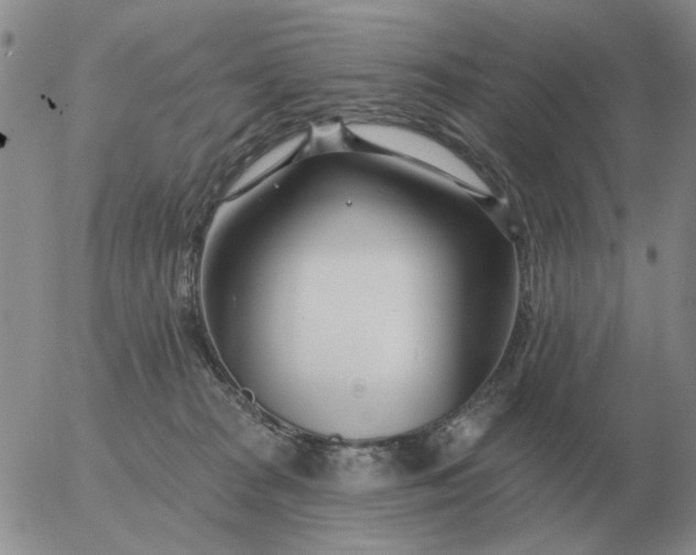 X0000055520277200509022131