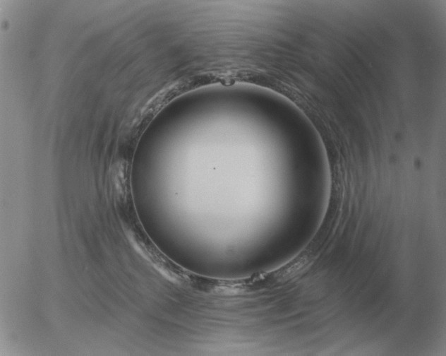 X0000055520280200509022131