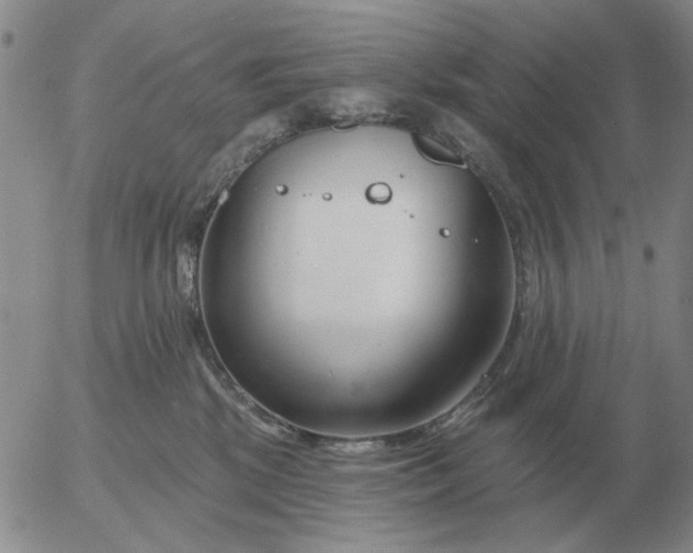 X0000055520281200509022131