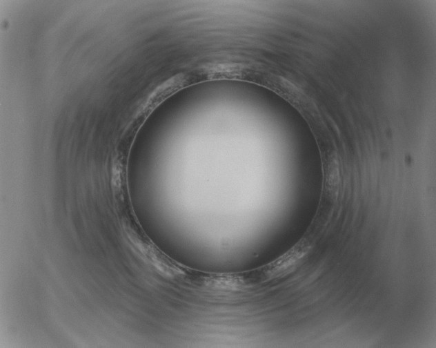 X0000055520282200509022131