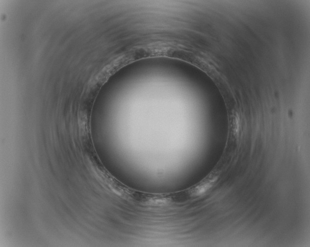 X0000055520283200509022131