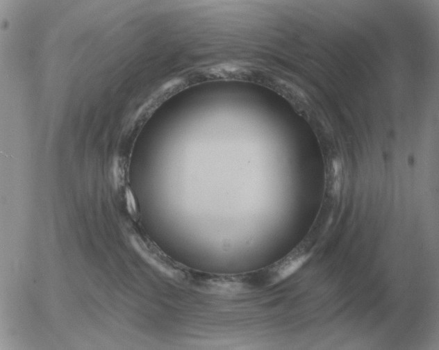 X0000055520284200509022131