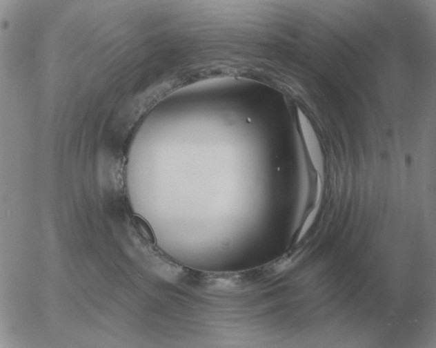 X0000055520285200509022131