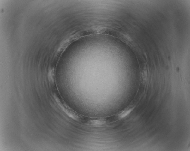 X0000055520286200509022131