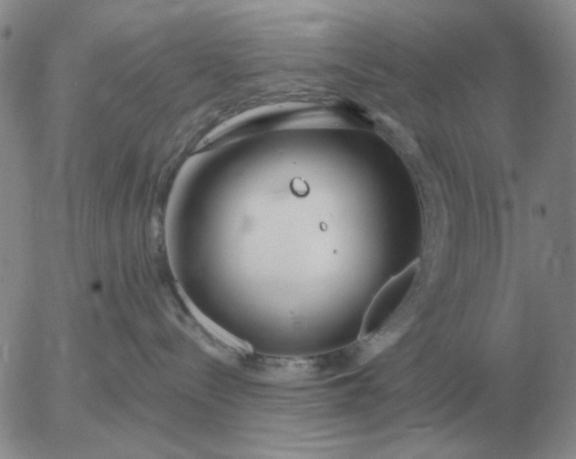 X0000055520288200509022131