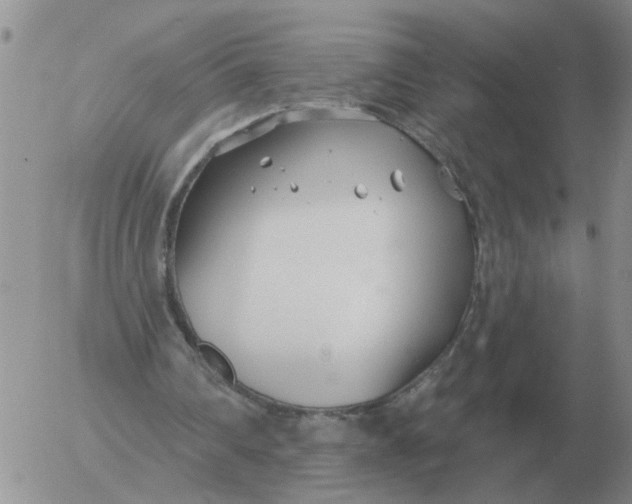 X0000055520290200509022131