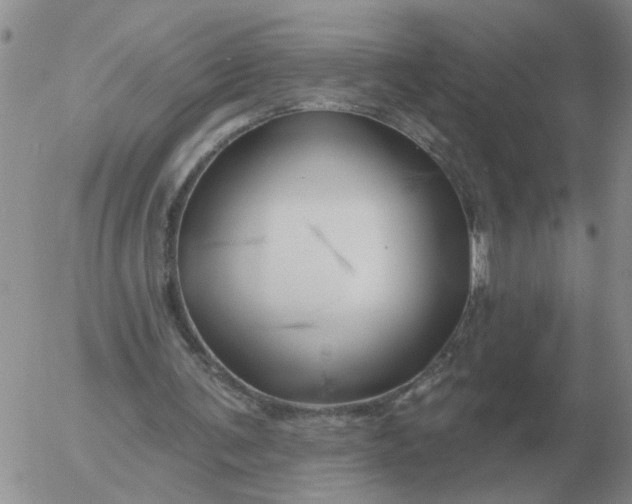 X0000055520291200509022131