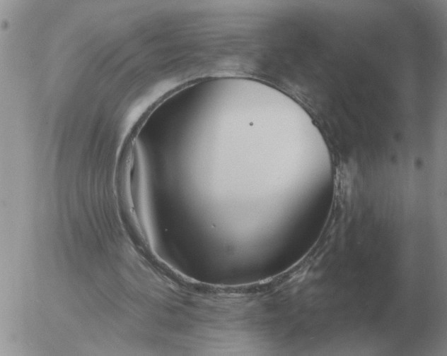 X0000055520292200509022131