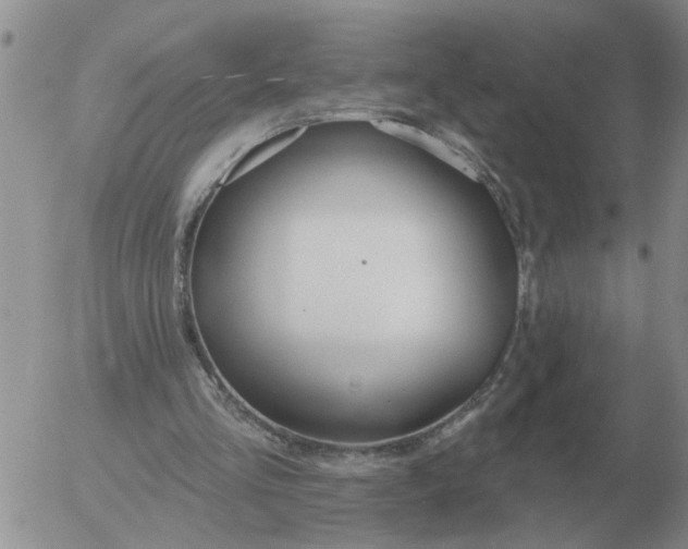 X0000055520293200509022131