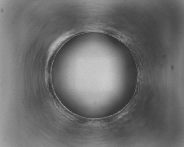 X0000055520294200509022131