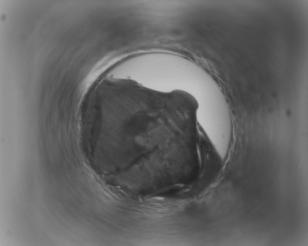 X0000055520295200509022131