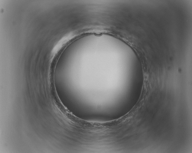 X0000055520296200509022131