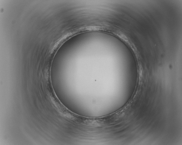 X0000055520297200509022131