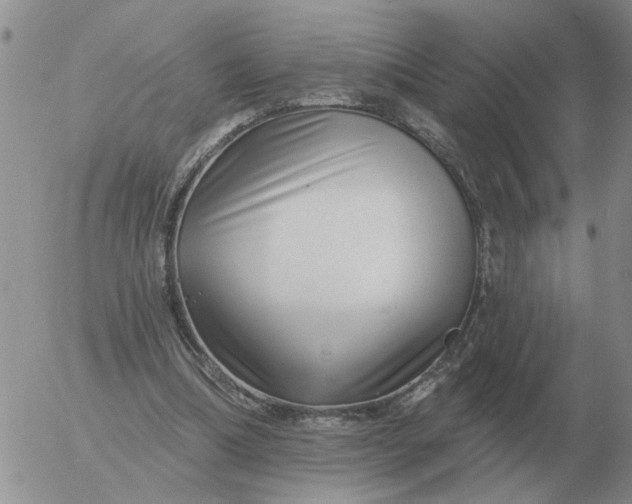 X0000055520298200509022131