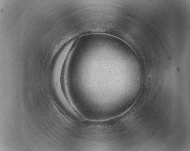 X0000055520299200509022131