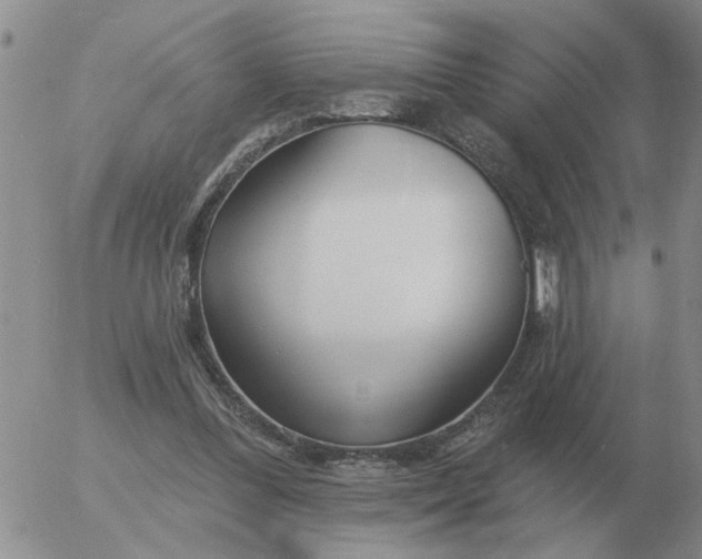 X0000055520300200509022131