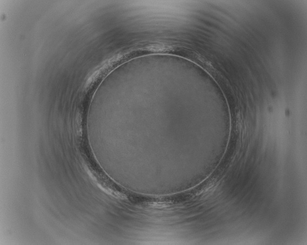 X0000055520303200509022130