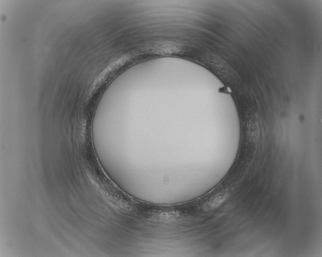 X0000055520304200509022130