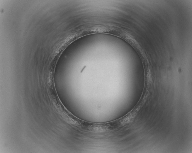 X0000055520305200509022130